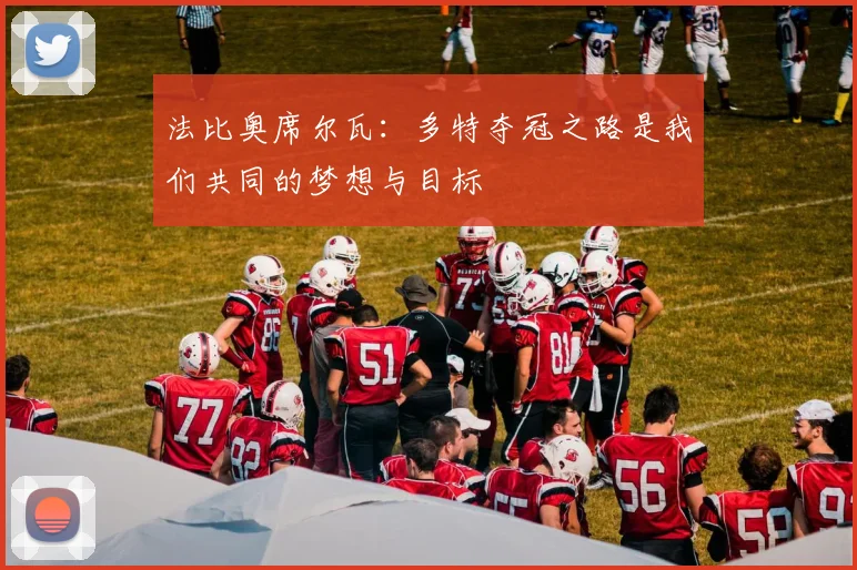 法比奥席尔瓦：多特夺冠之路是我们共同的梦想与目标