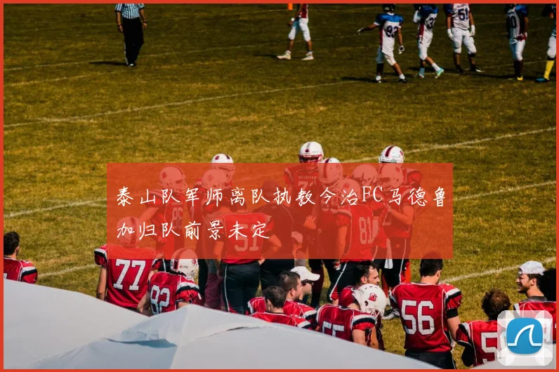 泰山队军师离队执教今治FC马德鲁加归队前景未定
