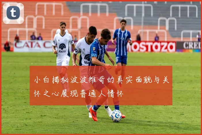 小白揭秘波波维奇的真实面貌与关怀之心展现普通人情怀