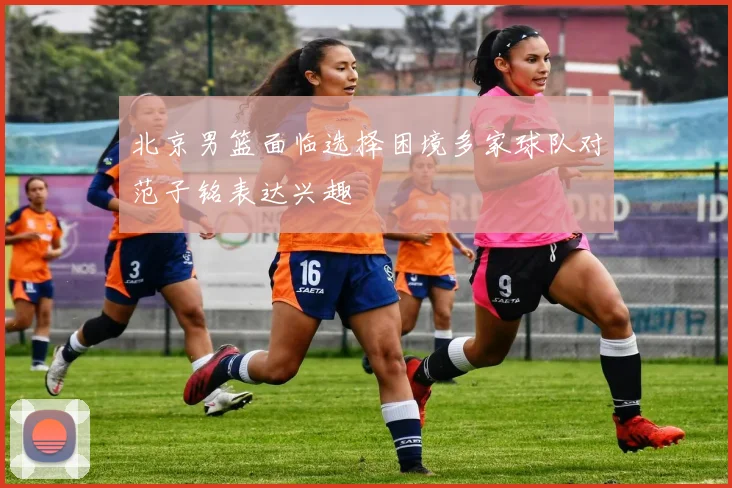 北京男篮面临选择困境多家球队对范子铭表达兴趣